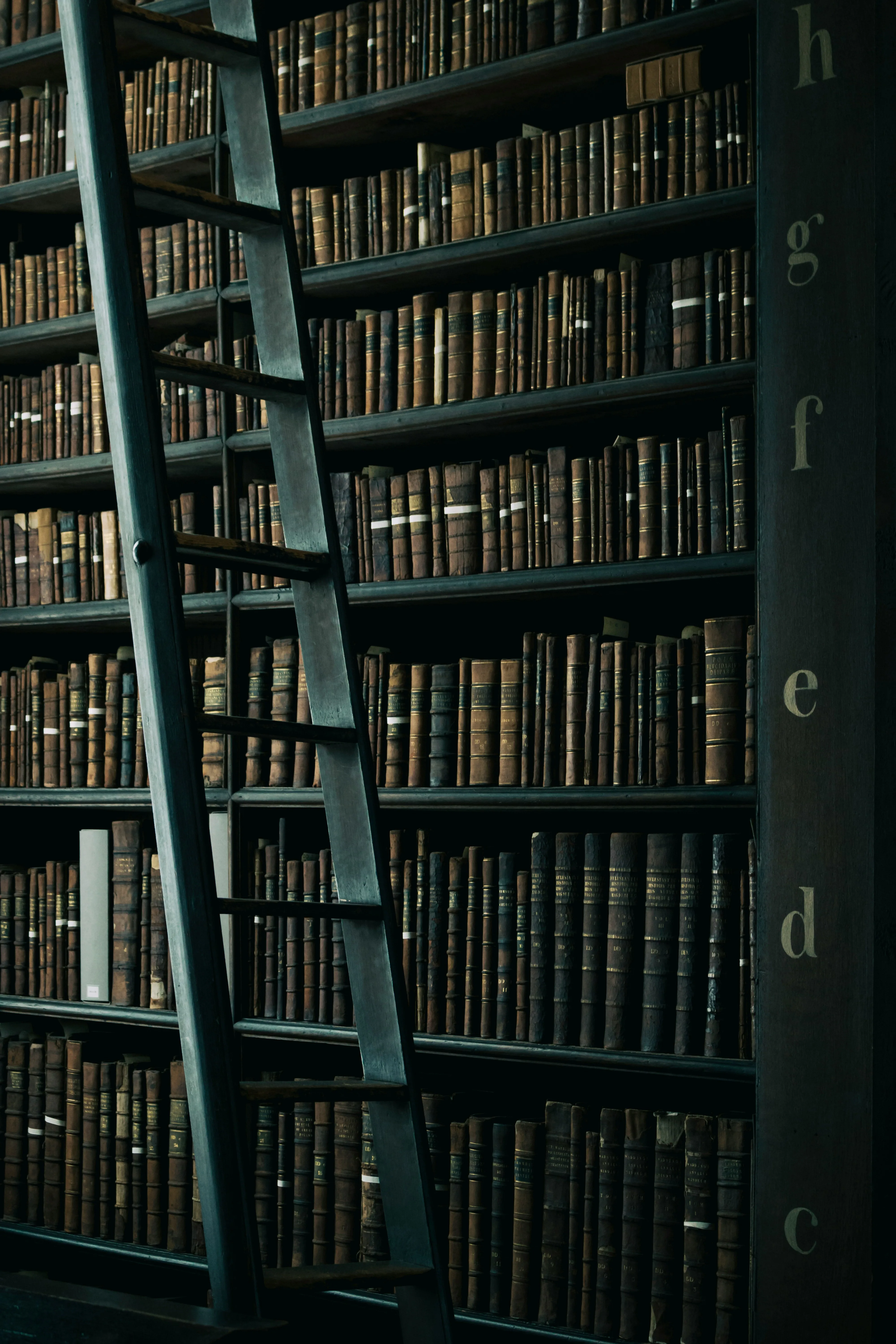 Tall library shelves with a ladder